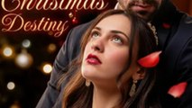 A Surrogate’S Christmas Destiny