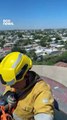 Gatito cordobés fue rescatado por bomberos a 50 metros de altura