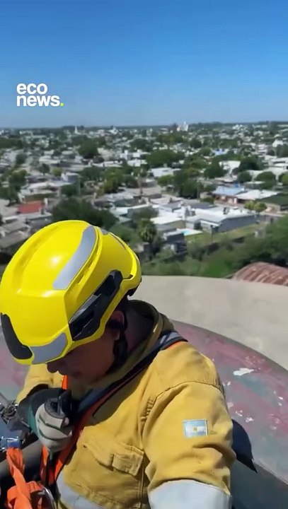 Gatito cordobés fue rescatado por bomberos a 50 metros de altura