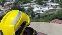 Gatito cordobés fue rescatado por bomberos a 50 metros de altura