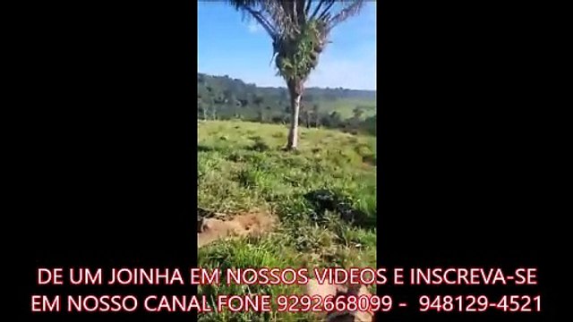 FAZENDA COM 380 ALQUEIRÃO A VENDA CMC