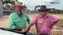 Strathalbyn’s feature weaner sale