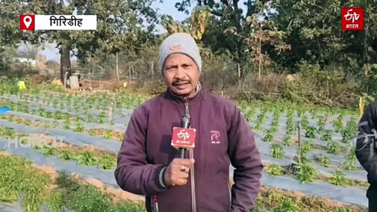 दुबई से लौटे मजदूर ने कृषि कार्य में तलाशा भविष...