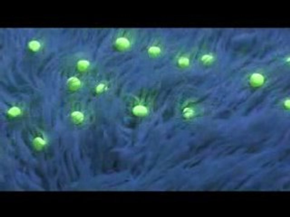 Seabear - Hands Remember