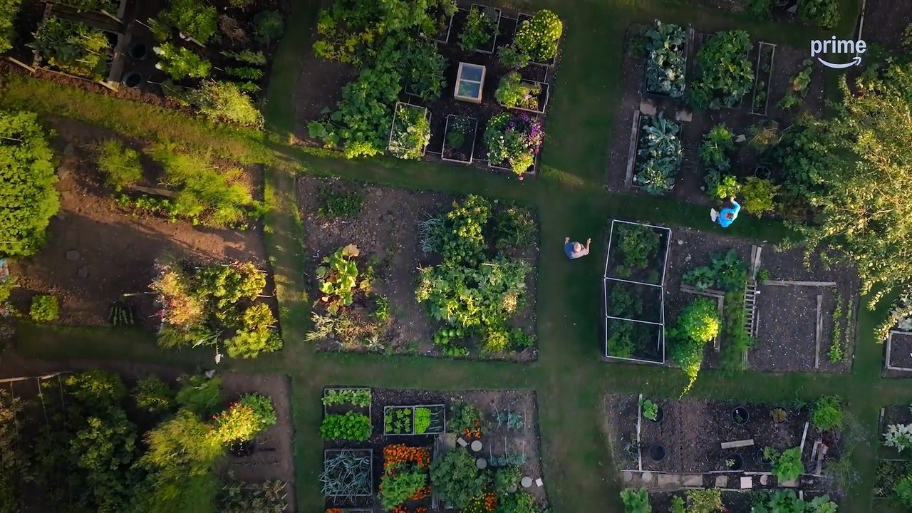 Finding Harmony: A King's Vision (2026) - Trailer