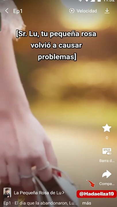 La pequeña rosa de Lu
