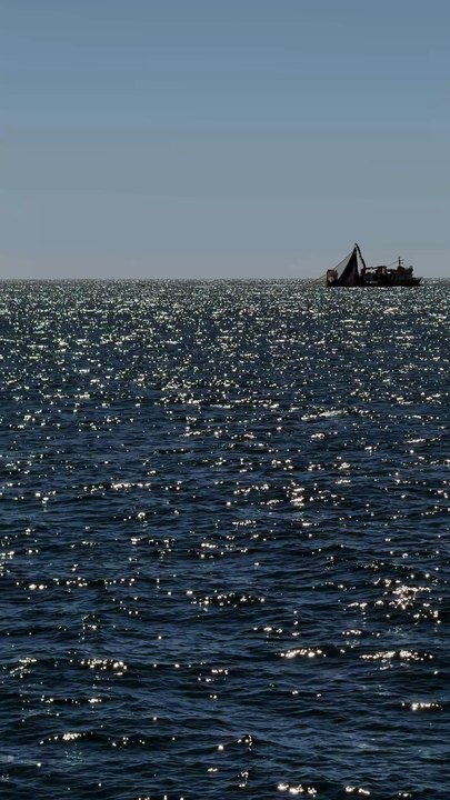 Nature , Ocean and Fishing
