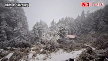 南橫大關山隧道、埡口下雪了！向陽山道、嘉明湖山屋一片銀白超美