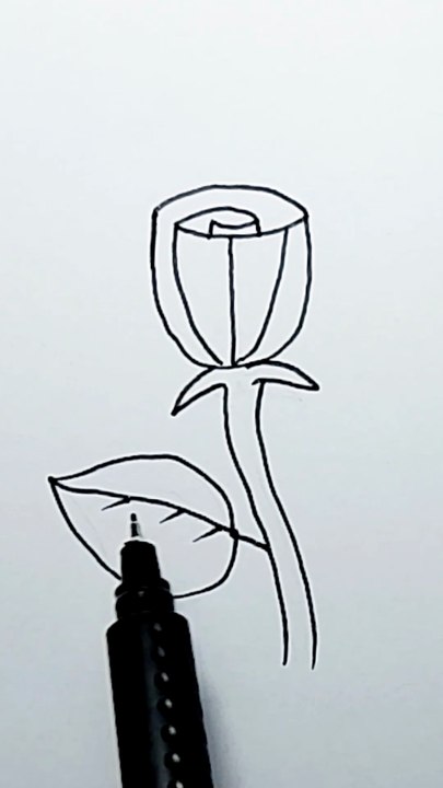 Rose drawing