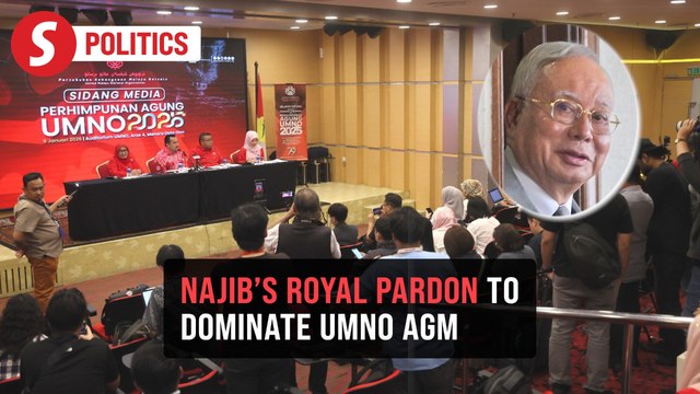 Royal pardon for Najib to be the main war-cry at Umno AGM