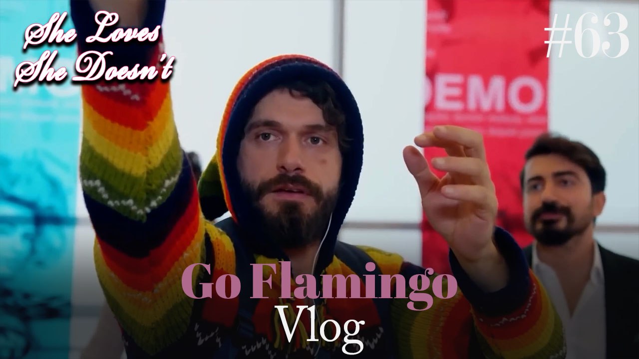Go Flamingo Vlog #63