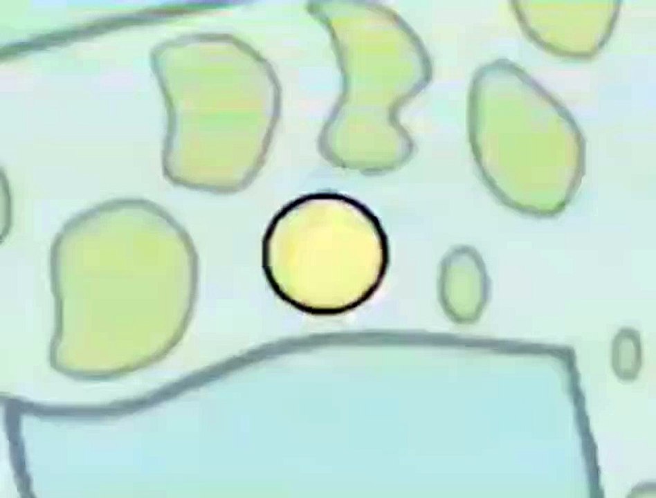 Baby English 베이비 잉글리쉬: Cecil the Circle Part 9 - Pig
