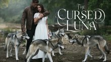 THE CURSED LUNA | A Gripping Werewolf Shifter Romance