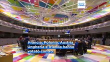 Via libera degli ambasciatori Ue all'accordo con il Mercosur, eurodeputati francesi promettono battaglia