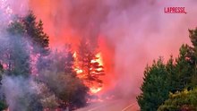 Argentina, il video dell'impressionante incendio nella foreste della Patagonia