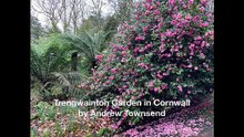 Trengwainton Garden in Cornwall by Andrew Townsend