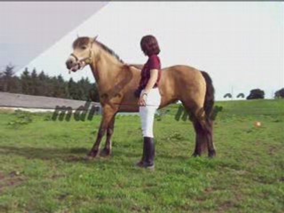 Montage Odyssée mai 2008