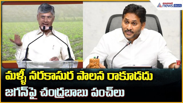 CM Chandrababu Naidu Speech About Jagan: జగన్ పై చంద్రబాబు పంచ్ లు | Asianet News Telugu