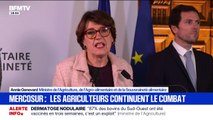 Annie Genevard, ministre de l'Agriculture, a déclaré aux agriculteurs 