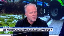 Punchline - Mercosur : les agriculteurs français lâchés par l'UE ?