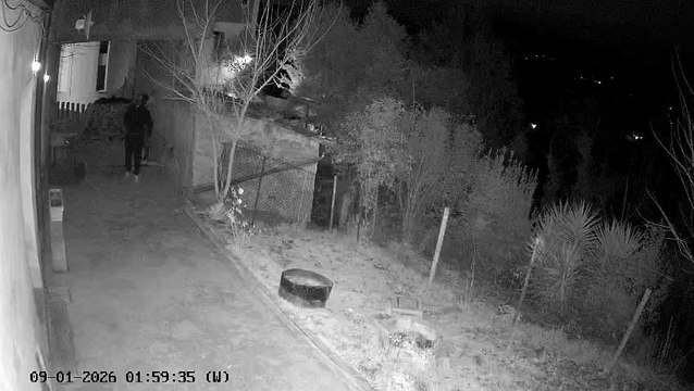 Image from field_mediaid