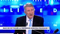 Philippe de Villiers : «Il faut partir de cette Union européenne, sinon on va être broyé»