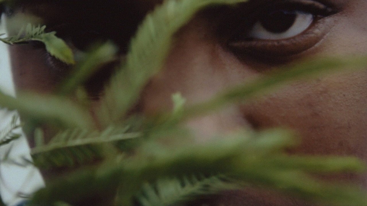 Ode à Latasha