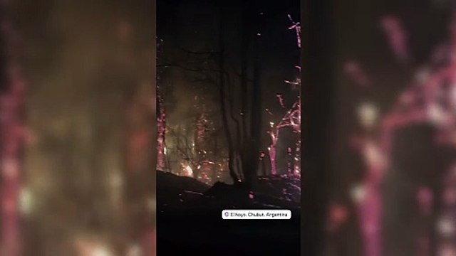 Continúan las tareas de combate del fuego en los bosques de la Patagonia