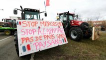 La UE culmina décadas de negociaciones con la ratificación del acuerdo comercial con Mercosur