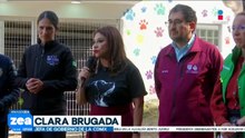 Perros que habitaban en el Refugio Franciscano llegan a nuevo refugio