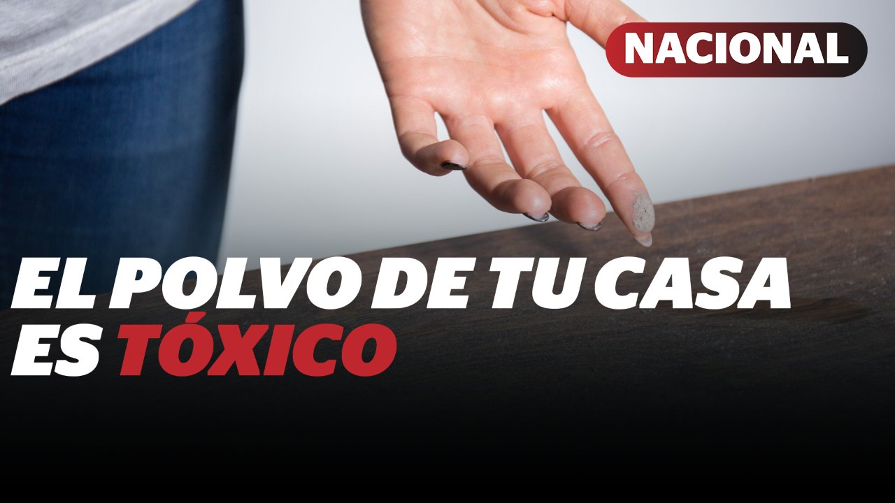 El polvo de las casa en Mexico es más tóxico que en Europa, revela la UNAM | Reporte Indigo