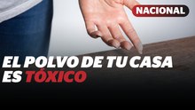 El polvo de las casa en Mexico es más tóxico que en Europa, revela la UNAM | Reporte Indigo