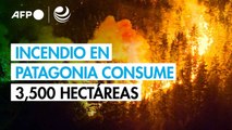 Principal incendio forestal en Patagonia argentina consume 3,500 hectáreas
