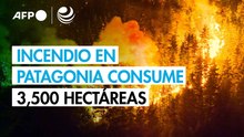 Principal incendio forestal en Patagonia argentina consume 3,500 hectáreas