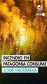 Principal incendio forestal en Patagonia argentina consume 3,500 hectáreas