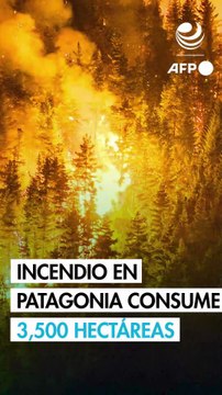 Principal incendio forestal en Patagonia argentina consume 3,500 hectáreas