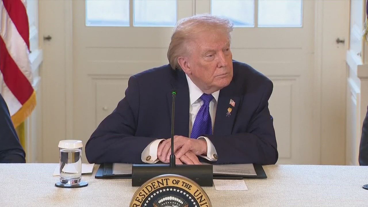 Trump and Vance Spark Fury: Call Renee Good a ‘Paid Agitator’ After Deadly ICE Shooting