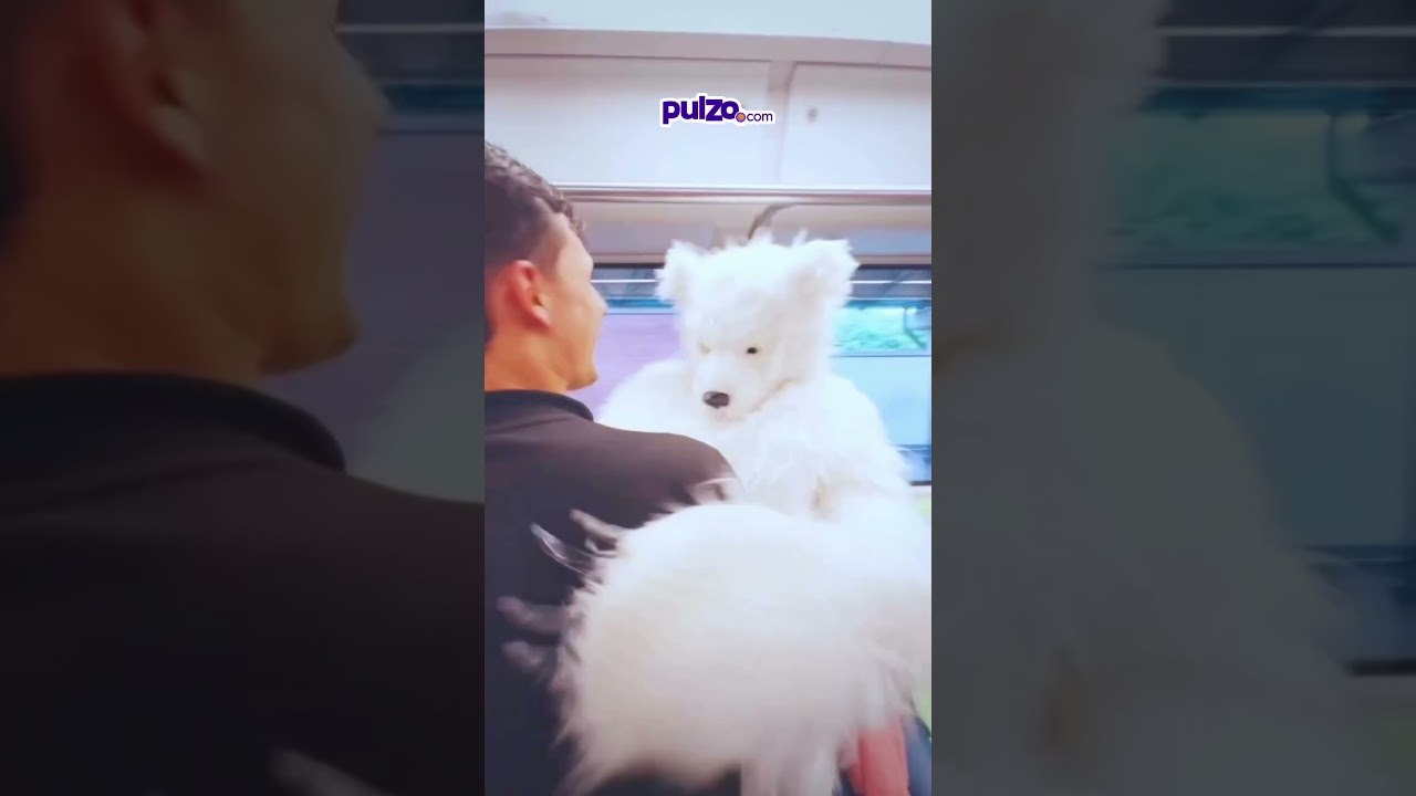 #juanes cantó en metro de #medellin disfrazado de oso polar | Pulzo