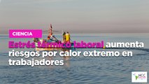 Estrés térmico laboral aumenta riesgos por calor extremo en trabajadores
