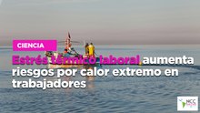 Estrés térmico laboral aumenta riesgos por calor extremo en trabajadores