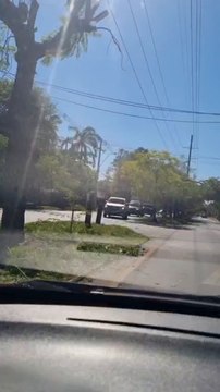 Vecinos denuncian poda indiscriminada de árboles en la avenida Primer Presidente