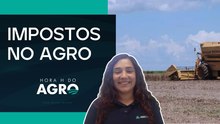 Reforma tributária no agro: o que muda para o produtor com IBS e CBS | HORA H DO AGRO