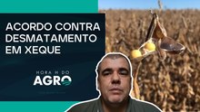 Moratória da soja: saída de empresas reacende debate ambiental e impacto no comércio |HORA H DO AGRO