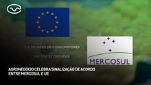 Agronegócio celebra sinalização de acordo entre Mercosul e União Europeia