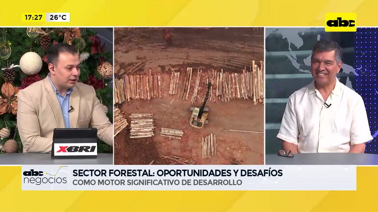 ABC Negocios: Sector forestal, oportunidades y desafíos