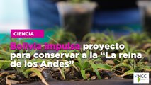 Bolivia impulsa proyecto para conservar a “La reina de los Andes”