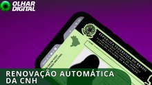 Bons motoristas terão CNHs renovadas automaticamente