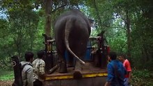 Kumki 2 2025 Tamil HQ HDRip  ESub Movie Part 2