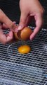 Cooking secrets you definitely need to know🥚