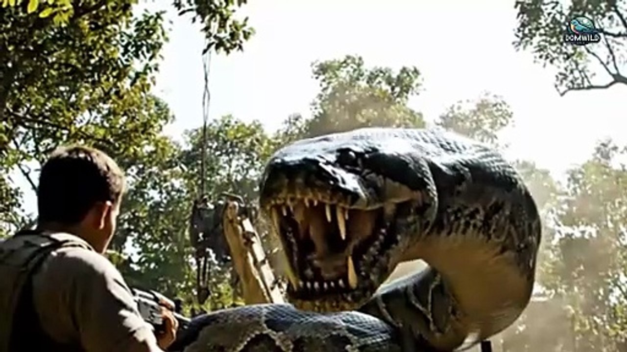 Part ( 19+) - The Girl’s Survival Alone in the Wilderness - The Giant Python Battles a Logging Vehicle in the Forest